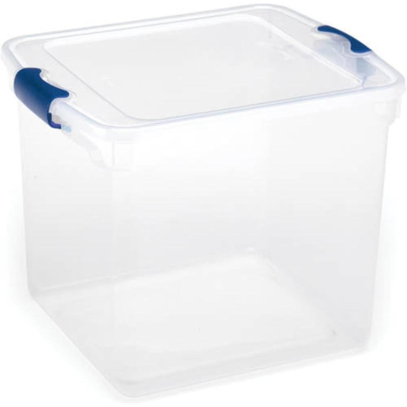Rebrilliant Plastic Decorative Bin