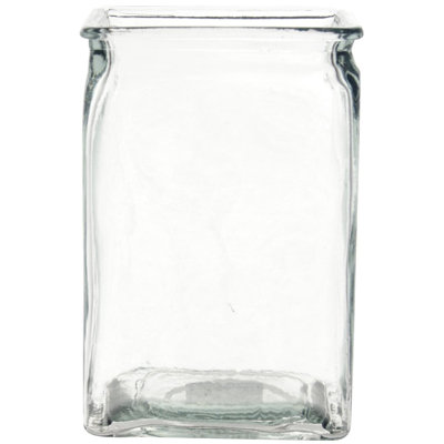 Hayleigh-Jai Glass Table Vase