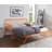 Daybed With Lift-Up Trundle 1Pc Metal Frame Classic Design Home Furniture (King Size)-1902648768