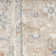 Millyr Washable Oriental Rug
