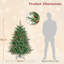 Fir Christmas Tree-1221183424