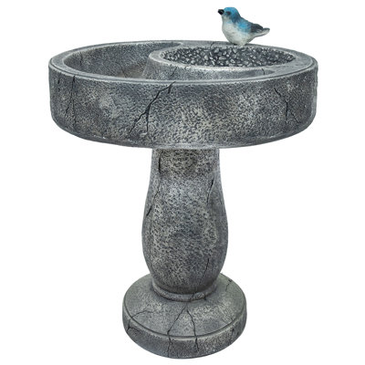 Daliylah Traditional Freestanding Polyresin Outdoor Bird Bath with Feeder Compartment