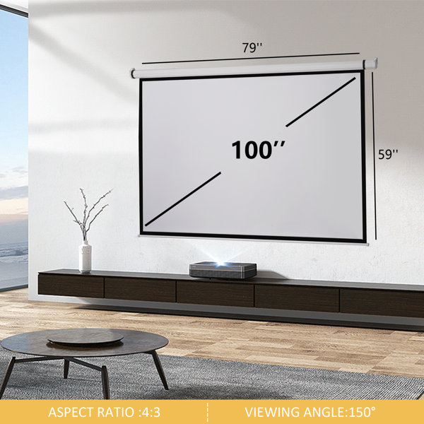 Vivohome Manual Projector Screen