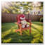 Chaise Adirondack en bois pour enfants, salon extérieur en bois massif pour enfants