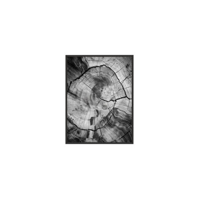Burnt Origins Grain