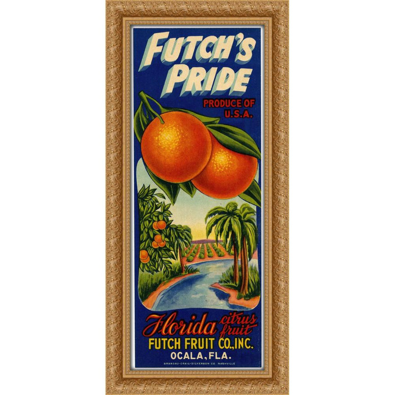 Étiquette d'agrumes Futch's Pride (1930-1950), H 32 po x l 15 po