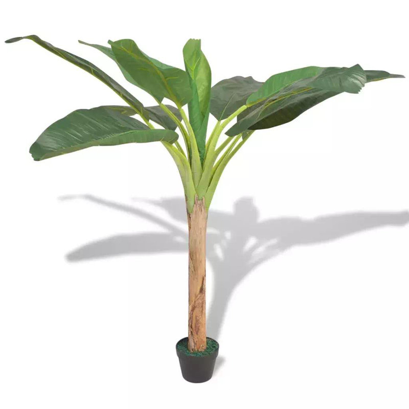 Banana Leaf Tree in Pot, 150cm Height