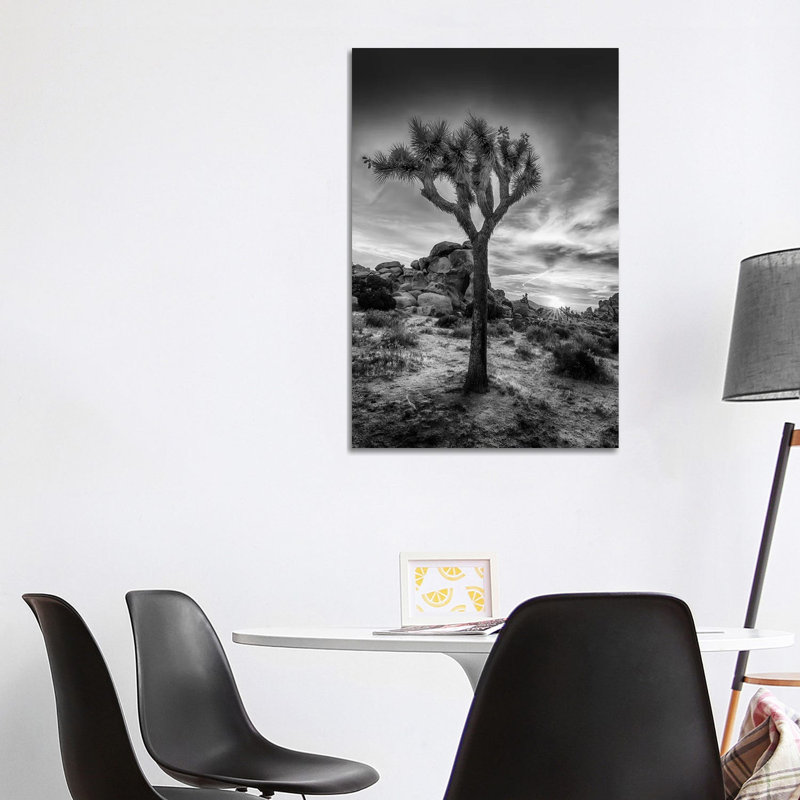 Charming Sunset In Joshua Tree National Park by Melanie Viola - Wrapped Canvas Print, 101.6 cm H x 66.04 cm W x 3.175 cm D