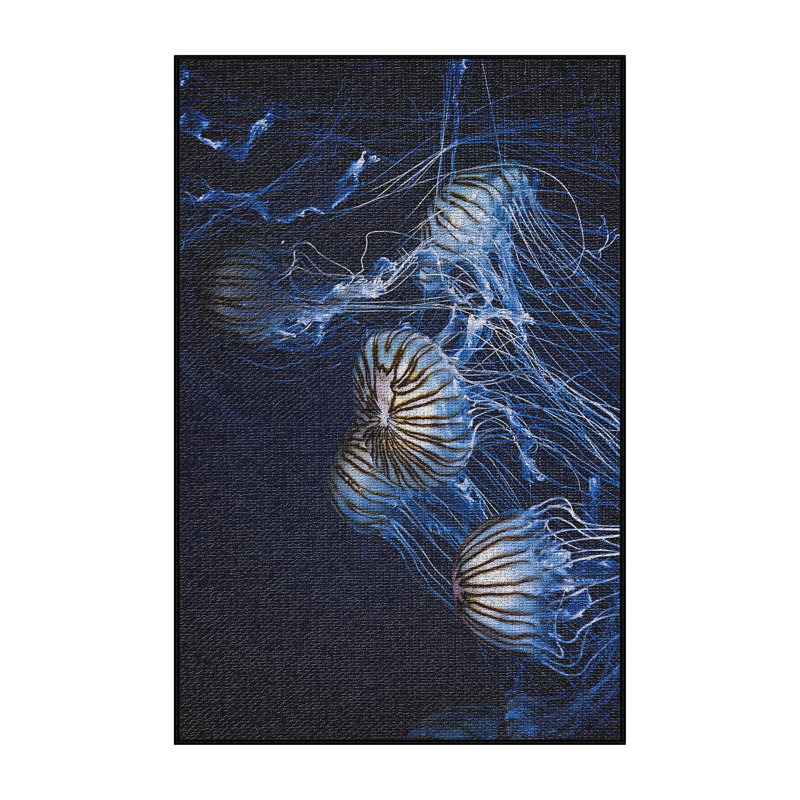 Indoor Rug, Rectangle 4' x 6'