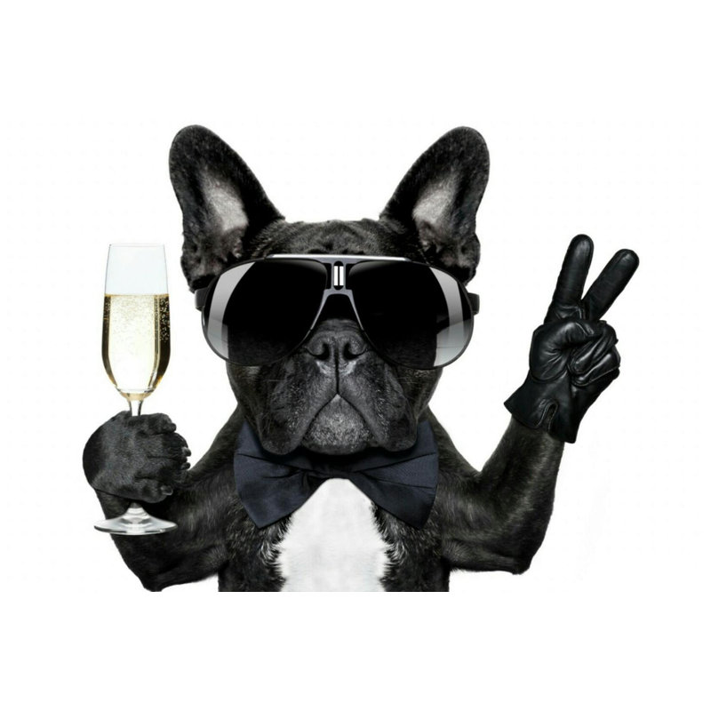 Bulldog champagne, reproduction d'art sur toile, affiche murale, Toile tendue, H 18 po x l 24 po x P 1,5 po