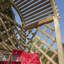 Rowlinson Jaipur Arbour
