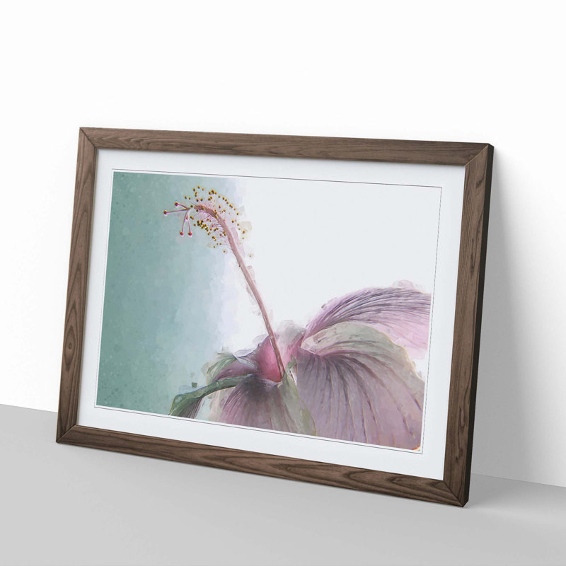 Pink Hibiscus Flower in Abstract - Framed Print, 40cm H x 60cm W x 2cm D, Walnut