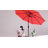 Miqdad Market Umbrella-457115234-534387429
