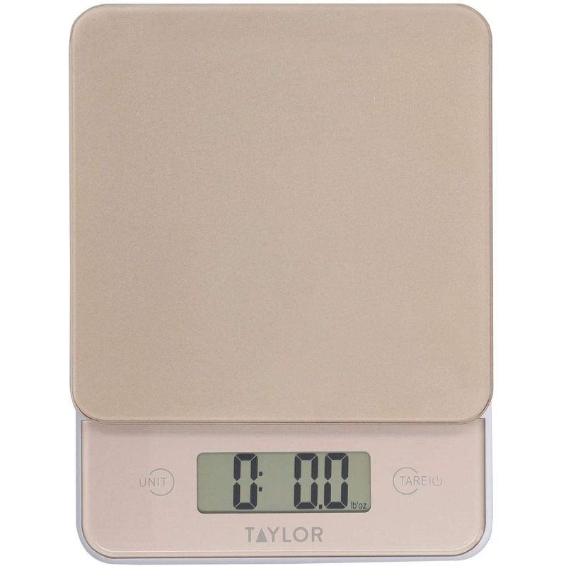 Taylor Digital Scale