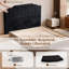 Tête de lit tapissier pour lit, aucun assemblage requis-684639325-684639326