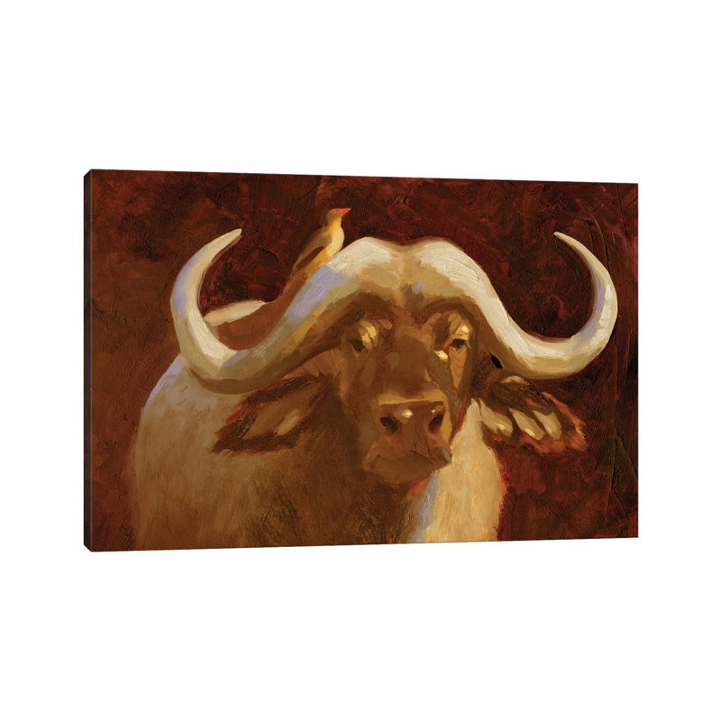 Cape Buffalo I by Jacob Green - Wrapped Canvas Print, 20.32cm H x 30.48cm W x 1.905cm D