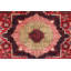 Aryana Wool Oriental Area Rug