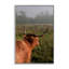 «Highland Cow Gazing Out», estampe numérique, conception par Jenny Rainbow Fine Art-193953904-193953906