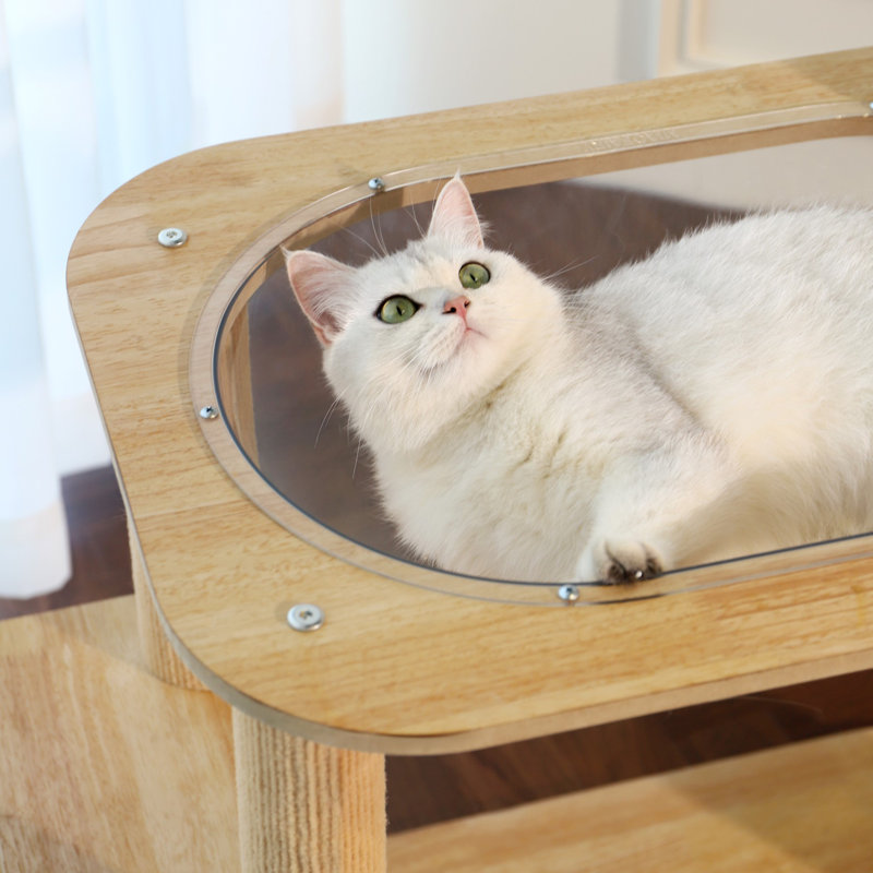 Fairela - Arbre à chat moderne avec lit bol transparent et poteaux à griffer