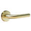 Single Dummy Door Lever Set-48577934-46047732