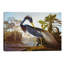 Louisiana Heron From "Birds Of America" by John Audubon - Painting on Canvas-2049723571-2049723573