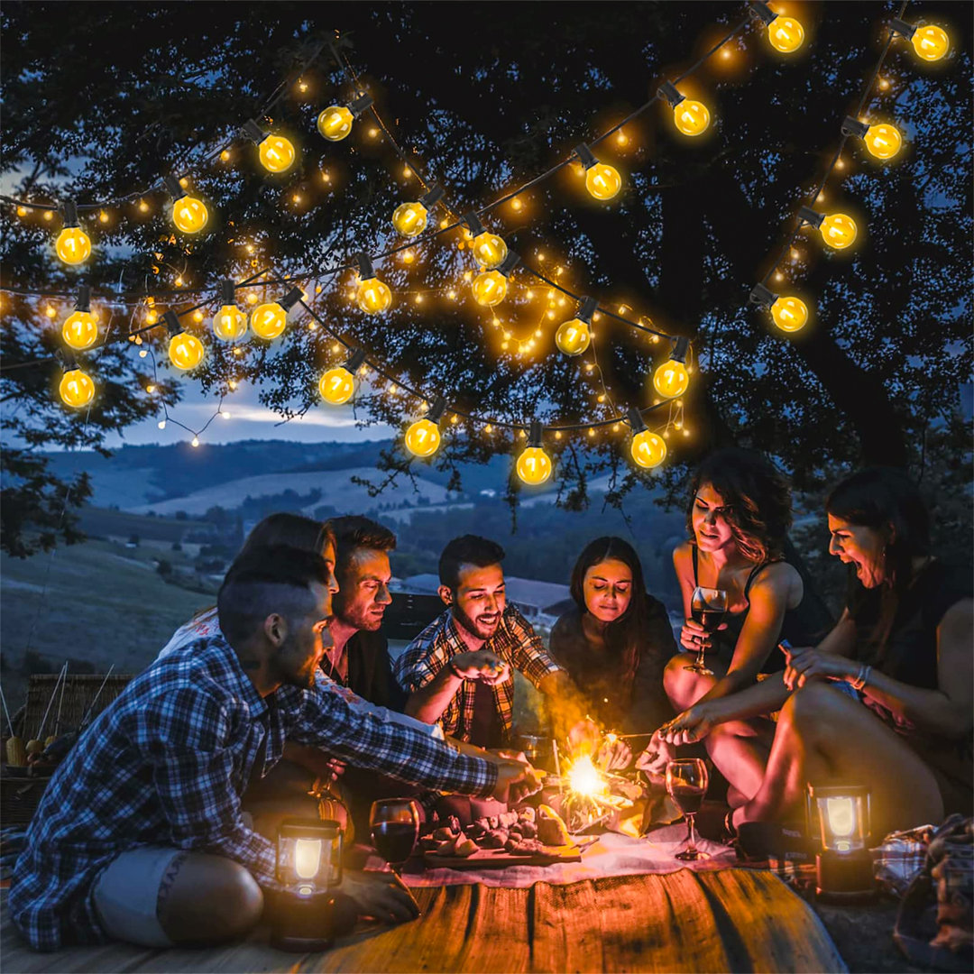 Alshabazz 1520cm 100 - Bulb Festoon Lights String Light (End to End Connectable)