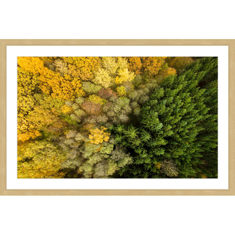 Karolis Janulis - Single Picture Frame Print, 41 cm H x 61 cm W x 3.81 cm D