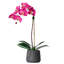 Orchid Floral Arrangements in Planter-1590144162