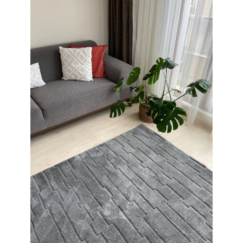 Tapis en coton Natasza, Rectangle 5 pi 3 po x 16 pi 5 po