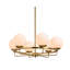 Eliora Chandelier