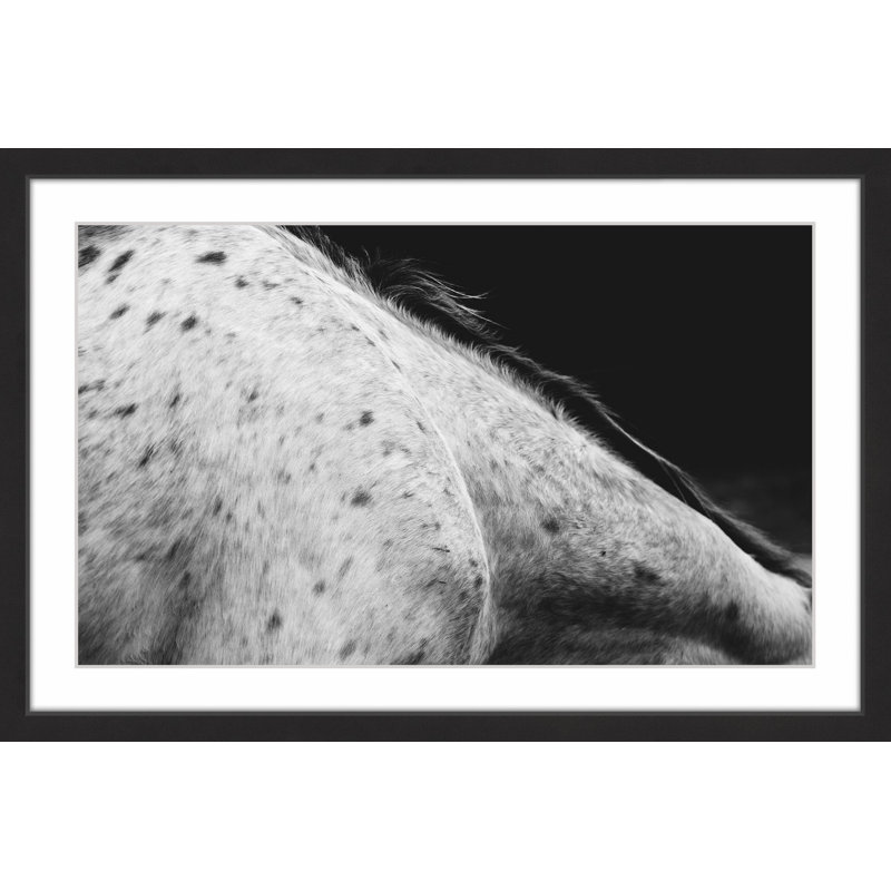 Ann Barnes - Single Picture Frame Print, 61cm H x 91cm W x 3.81cm D