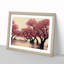 Thrilling Cherry Blossom Trees - Framed Print-1925743673-1925743679