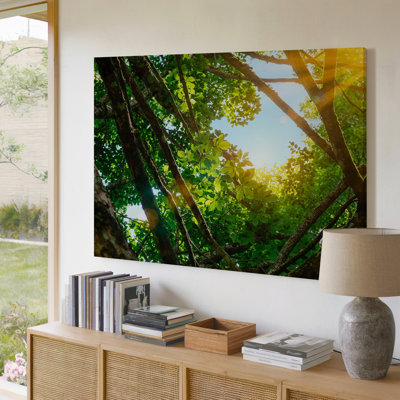 Sunlight Shining Through Green Tree Branches Leaves Nature Canvas Wall Art Print For Living Room, Bedroom, Office, Hallway, Entryway, Gallery Wall And Modern Home Decor