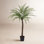 Faux Fern Tree in Pot