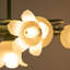 Plafonnier 6 lumières 19,68 po