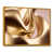 Gold Floater Frame Canvas selected