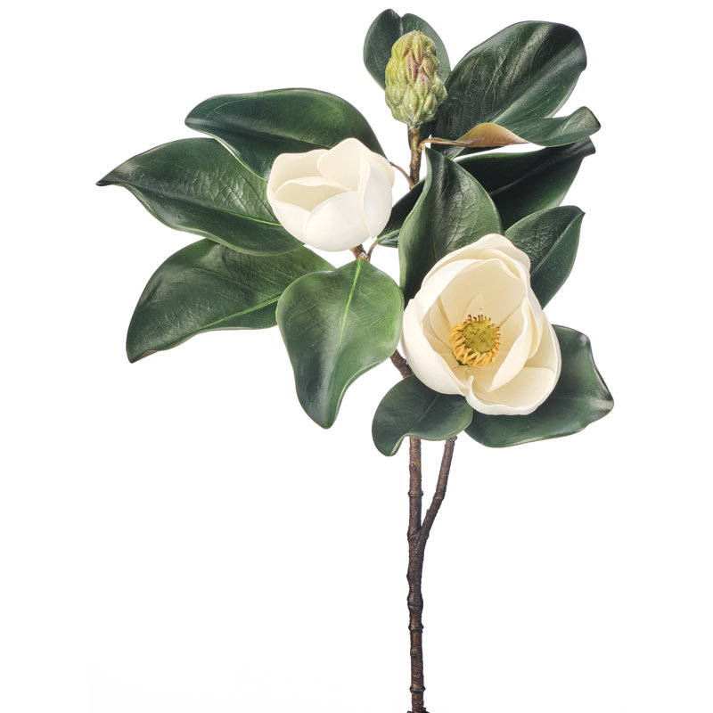 Magnolia 29 po Veranda