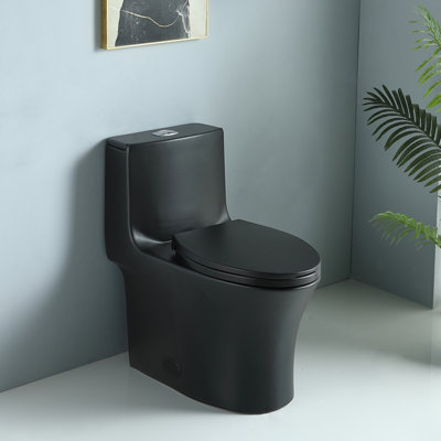 Toilette monobloc allongée à hauteur confort avec double chasse d'eau, puissance de chasse de 1000 grammes, abattant à fermeture amortie, consommation d'eau de 1,1 et 1,6 gallons par chasse, noir mat