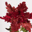 Tige de Noël artificielle 20 po Poinsettia-1394577581-1394577569