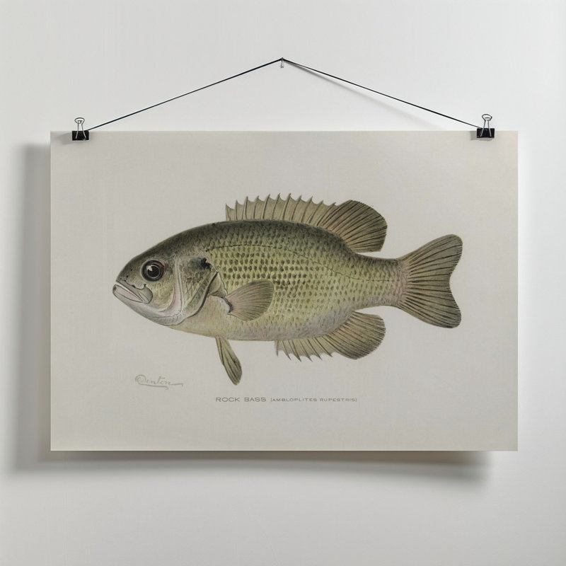 1 Piece Wrapped Canvas Wall Art, 50.8 cm H x 76.2 cm W