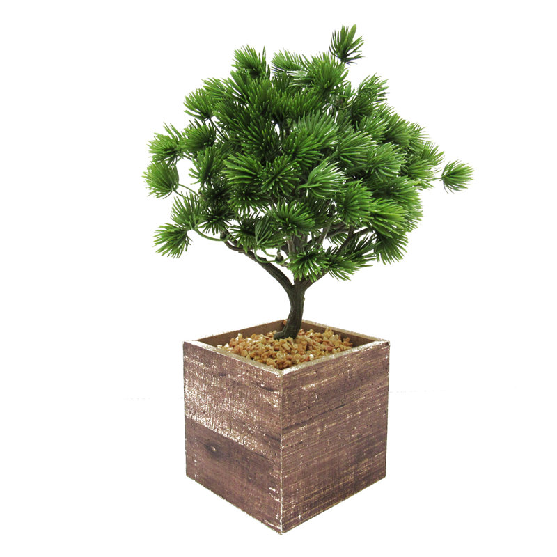 10.5'' Faux Bonsai Plant in Wood Pot