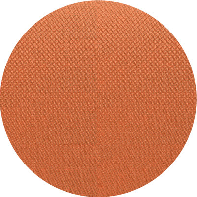 Wool Indoor Rug