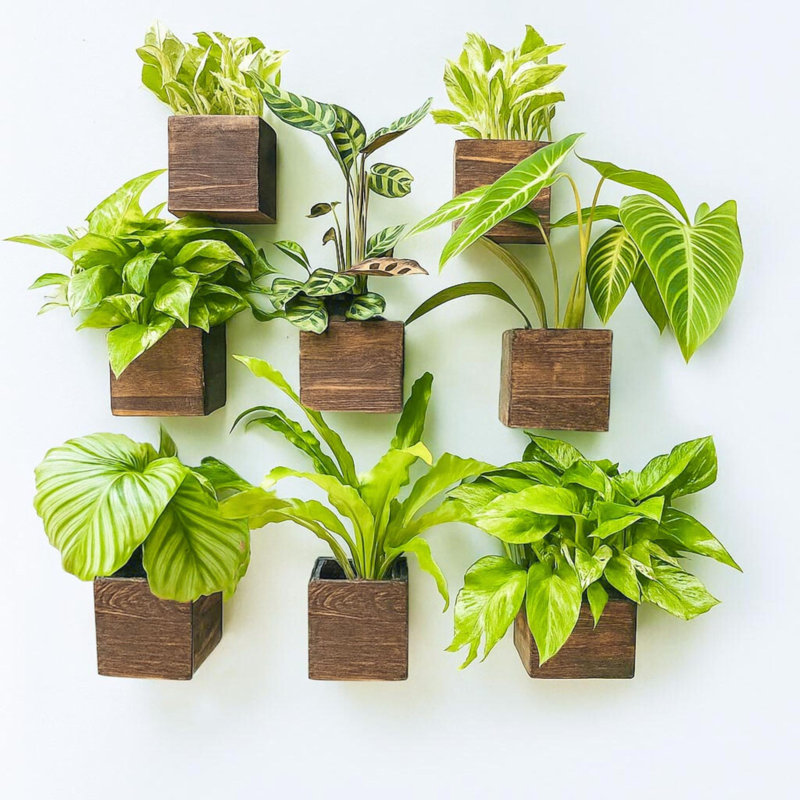 Wood Wall Planter