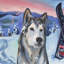 Northern Lights - Wrapped Canvas Painting-646285686