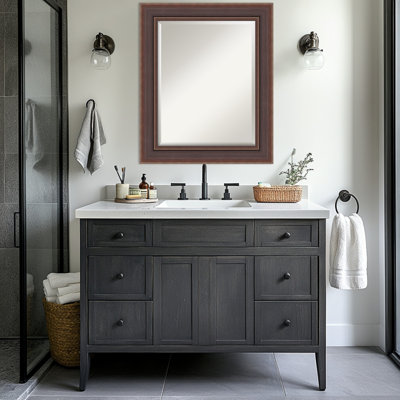 Moab Brown Bronze Beveled Framed Bathroom Vanity Wall Mirror
