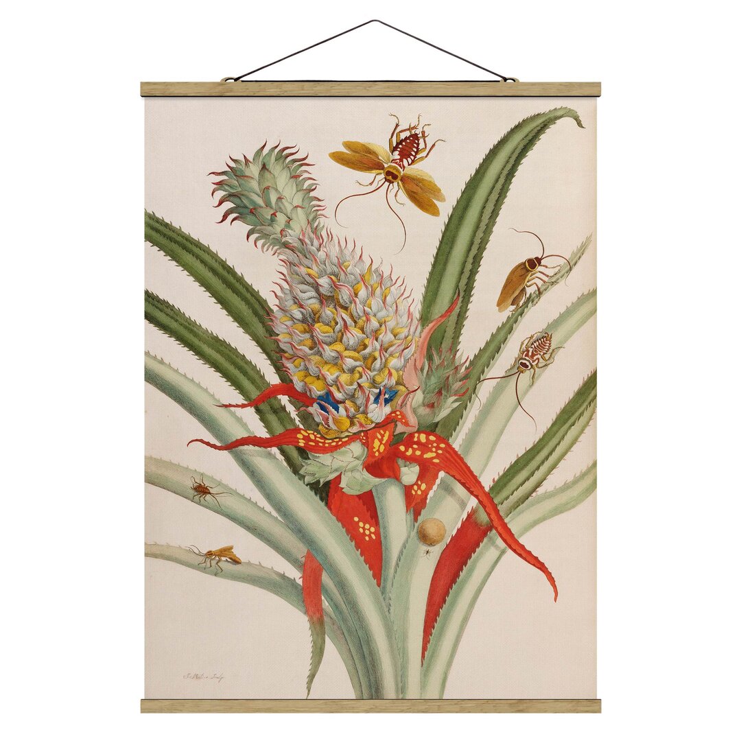 Stoffbild Ananas mit Insekten von Anna Maria Sibylla Merian