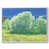 White Floater Framed Canvas is unavailable