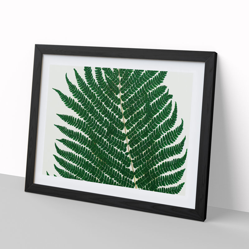 Splendorous Fern Leaf - Framed Print, Black, 46cm H x 64cm W x 2cm D