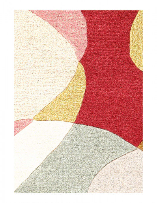 Ishar Hand Knotted Wool Area Rug