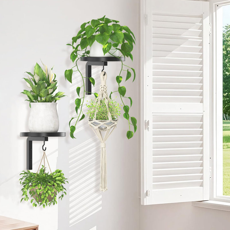 Ensemble de 2 supports muraux pour plantes suspendus en métal pour une utilisation intérieure et extérieure, support à fleurs flottant